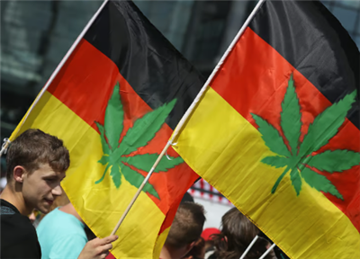 Canabisul este parțial dezincriminat în Germania